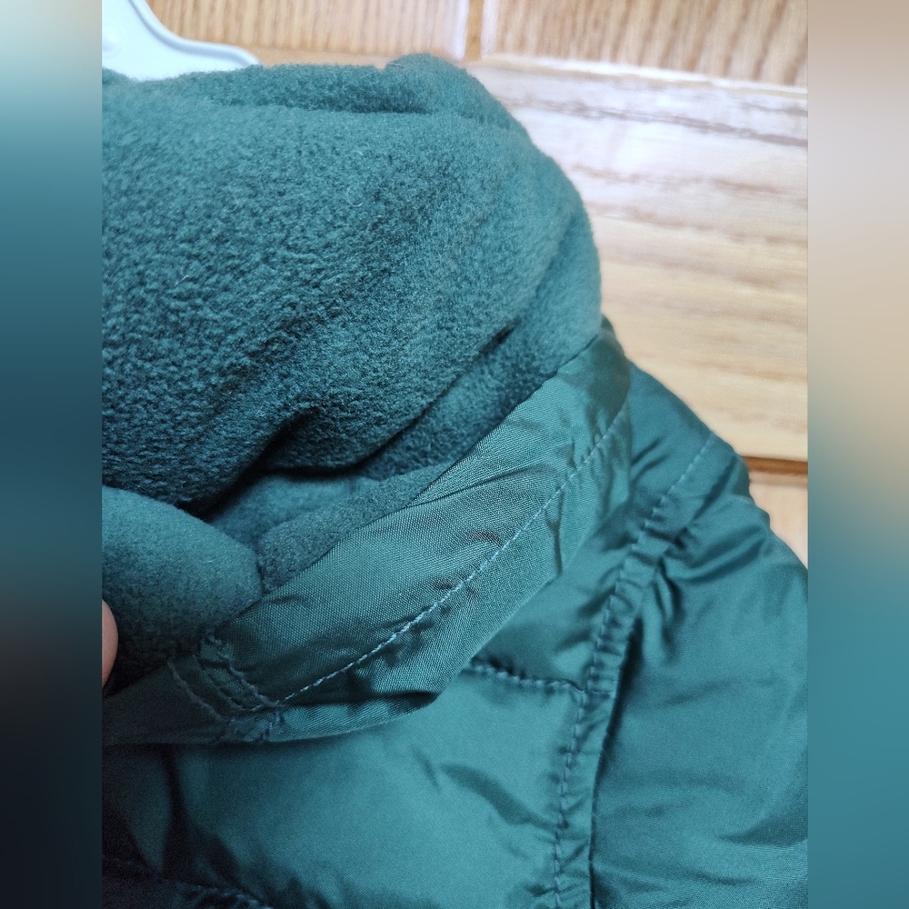 Gymboree Green Puffer Jacket with Hood and Quilted Design, Fleece Lining - Picture 3 of 7